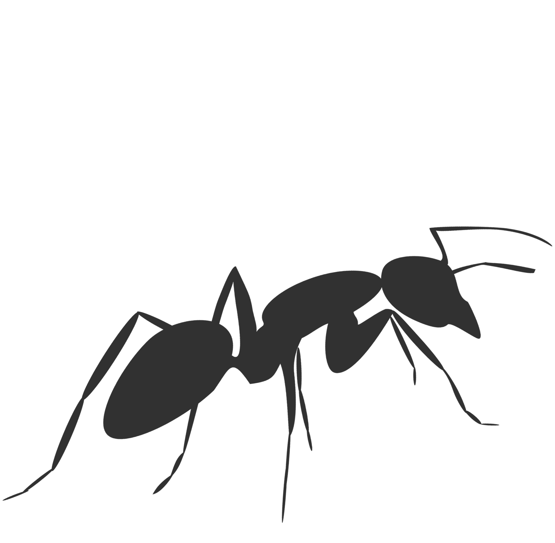 fabric TASK ant icon